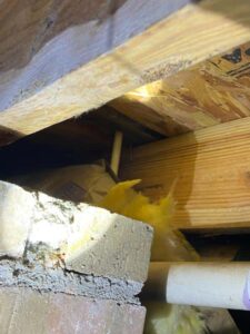 surface mold from excessive moisture in the crawl space