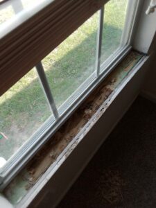 termite damage on window sill of house built on a slab