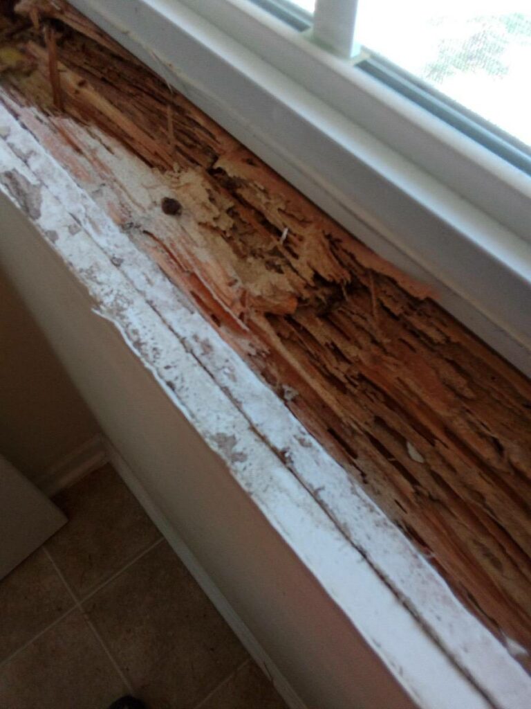 termite damage on window sill of house built on a slab