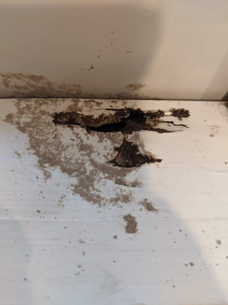 Termite Damage To Window Sill